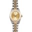 Fake Rolex Ladies Oyster Perpetual 76193 Champagne JW0502