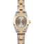 Imitation Ladies Rolex Oyster Perpetual Two Toned 76183 JW0347